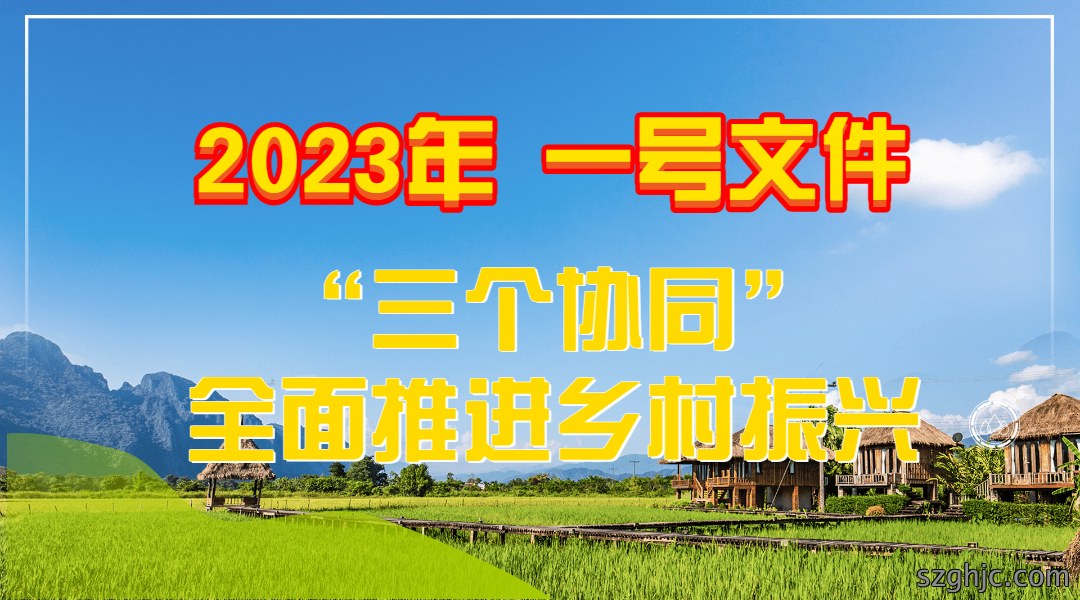 一号文件.jpg